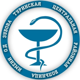 Аватар канала «ГАУЗ СО "Туринская ЦРБ им. О.Д. Зубова"»