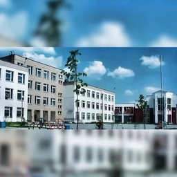 Аватар канала «МАОУ гимназия №176 г. Екатеринбург»