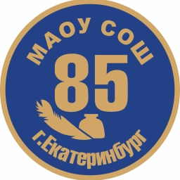 Аватар канала «МАОУ СОШ № 85 - школа, где каждый важен!»