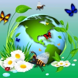 Аватар канала «МБДОУ - детский сад № 71»