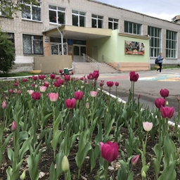 Аватар канала «МАОУ СОШ с УИОП № 53»