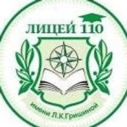 Аватар канала «МАОУ_лицей_110_Екатеринбург»