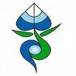 Аватар канала «Официальный канал МАОУ СОШ №113»