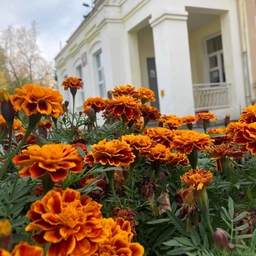 Аватар канала «МАОУ СОШ 107»