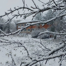 Аватар канала «МБОУ Мурыгинская СШ»