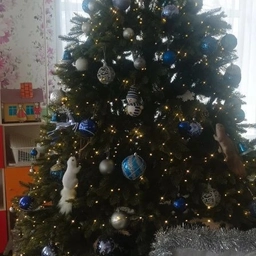 Аватар канала «МБДОУ Петровский детский сад Петровский МО Тамбовская область»