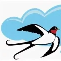 Аватар канала «МБДОУ детский сад N4 "Ласточка"»