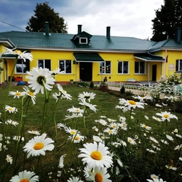 Аватар канала «МАДОУ "Ромашка" Пеновский МО»