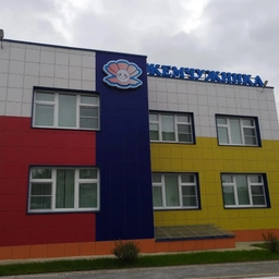 Аватар канала «МБДОУ Торопецкий детский сад "Жемчужинка"»