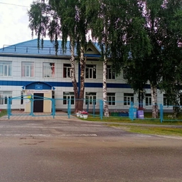 Аватар канала «МАОУ-СОШ с.Батурино Асиновского р-на Томской обл»