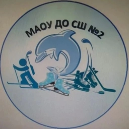 Аватар канала «МАОУ ДО СШ №2 города Асино Томской области»