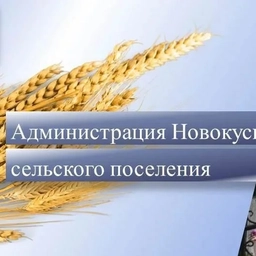 Аватар канала «Администрация Новокусковского сельского поселения»