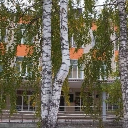 Аватар канала «МБОУ "Могочинская СОШ"»