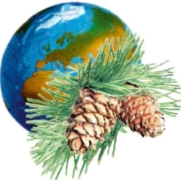 Аватар канала «Дом детства и юношества "КЕДР" г. Томска»