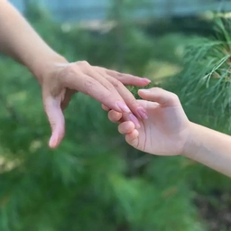 Аватар канала «Школа № 45 г. Томска»