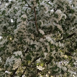 Аватар канала «МКОУ Пудинская СОШ»