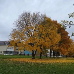 Аватар канала «МКОУ «СШ № 17»»