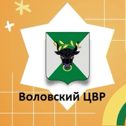 Аватар канала «МКОУ ДО "Воловский ЦВР"»