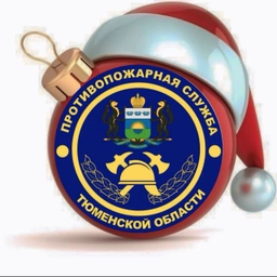 Аватар канала «Противопожарная служба ТО»