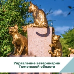 Аватар канала «Управление ветеринарии Тюменской области»