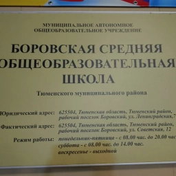 Аватар канала «Новости МАОУ Боровской СОШ»