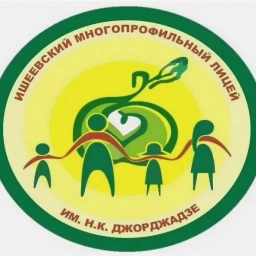 Аватар канала «МОУ Ишеевский многопрофильный лицей имени Н.К.Джорджадзе»