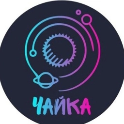 Аватар канала «МУ ДЗОЛ «Чайка» Чебаруль»