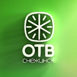 Аватар канала «ОТВ-Снежинск»