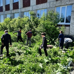 Аватар канала «Новопокровская Школа»