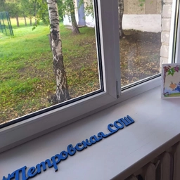 Аватар канала «МОУ Петровская СОШ Красноармейского округа»