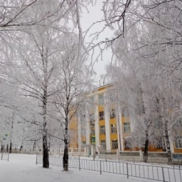 Аватар канала «МБОУ СОШ р.п. Магнитка»