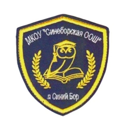 Аватар канала «Новостной канал Увельского округа МКОУ "Синеборская ООШ"»