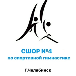 Аватар канала «СШОР №4 по спортивной гимнастике»