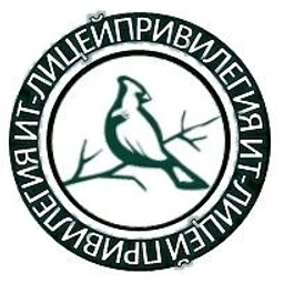 Аватар канала «Официальный канал - МАОУ "ИТ-лицей Привилегия г. Челябинска"»