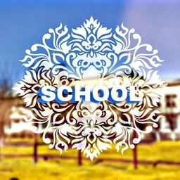 Аватар канала «МОУ СОШ с. Шишкино🏫»