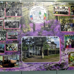 Аватар канала «МОУ СОШ № 2 пгт.Новокручининский»