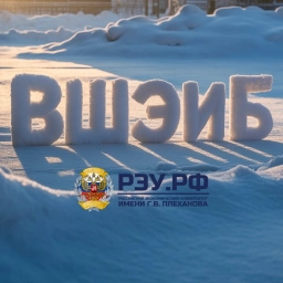 Аватар канала «Высшая школа экономики и бизнеса РЭУ им. Г.В.Плеханова»