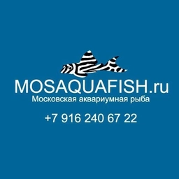 Аватар канала «Московская аквариумная рыба»