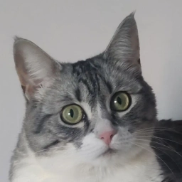 Аватар канала «Муся»