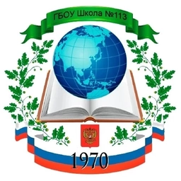 Аватар канала «ГБОУ Школа 113»