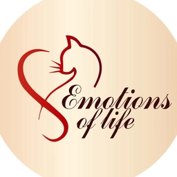 Аватар канала «EMOTIONS OF LIFE»