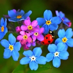 Аватар канала «ГБДОУ №32 Калининского района Санкт - Петербурга»