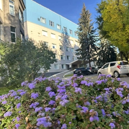 Аватар канала «Больница Святителя Луки»