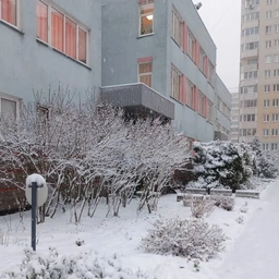 Аватар канала «ГБДОУ детский сад № 97 Красногвардейского района»