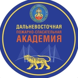 Аватар канала «ДВПСА МЧС России»