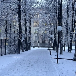 Аватар канала «ГБОУ Гимназия №67 Петроградского района Санкт-Петербурга»