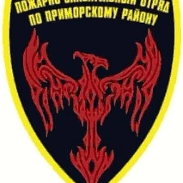 Аватар канала «СПБ ГКУ "ПСО Приморского района"»