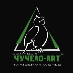 Аватар канала «🇷🇺 ЧУЧЕЛО-ART 🇷🇺»