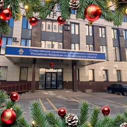 Аватар канала «Следком Ленинградской области»