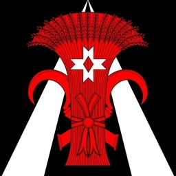 Аватар канала «Местная администрация муниципального образования поселок Шушары»